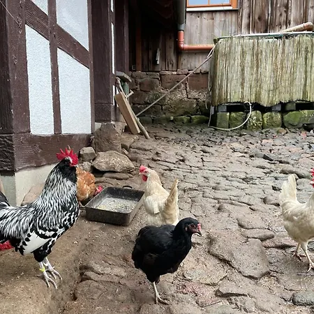 Lägenhet Baerbel